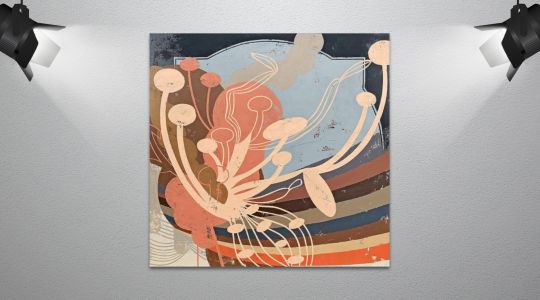 Art Gallery | Phalaenopsis